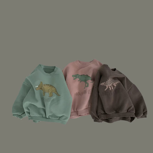 Dinosaur Sweatshirt